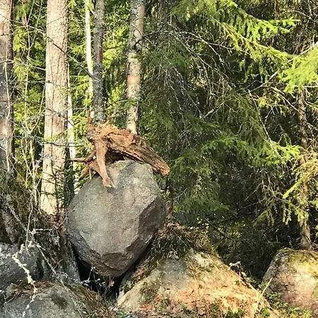 Huvilat Pyhtaeae Garden Pyhtää
